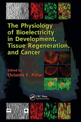 Physiology of Bioelectricity in Development, Tissue Regeneration and Cancer