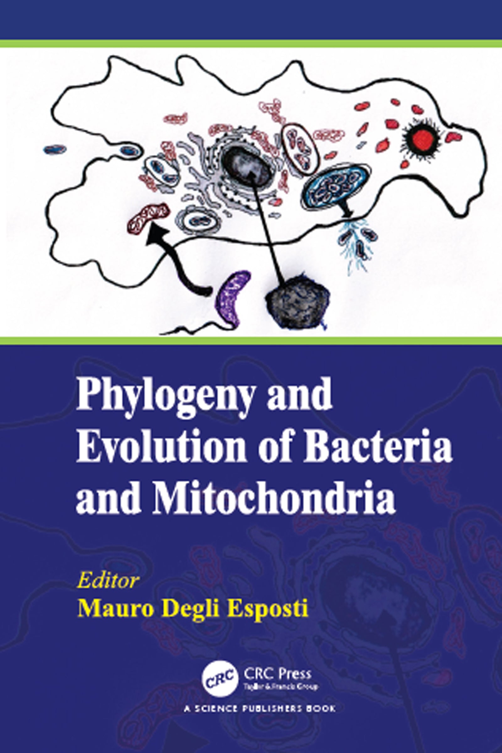 Phylogeny and Evolution of Bacteria and Mitochondria