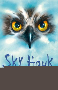 Rollercoasters: Sky Hawk Paperback/Website Link