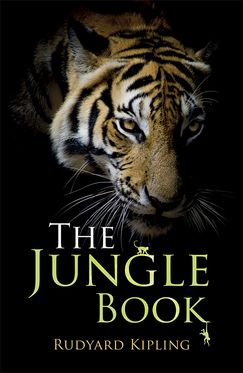 Rollercoasters:The Jungle Book Paperback/Website Link