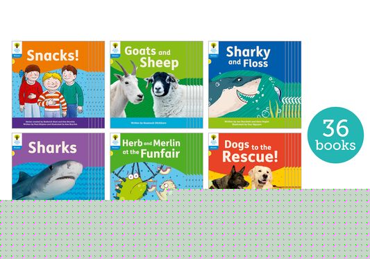 Floppy Phonics Decoding Practice L3 Class Pack 36