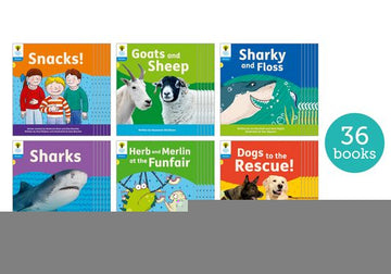 Floppy Phonics Decoding Practice L3 Class Pack 36