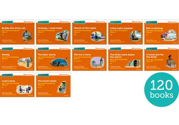 Read Write Inc. Phonics: Orange Set 4 More Storybooks Pack of 120