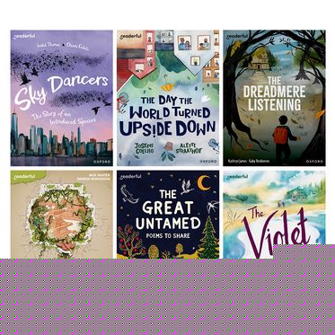 Readerful: Books for Sharing Y5/P6 Singles Pack A