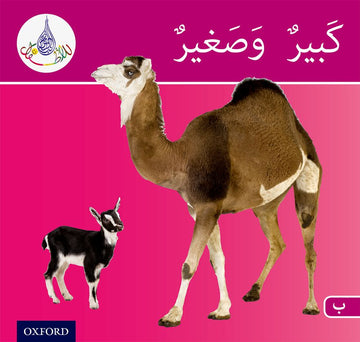 Arabic Club Readers: Pink Band: Big and Small