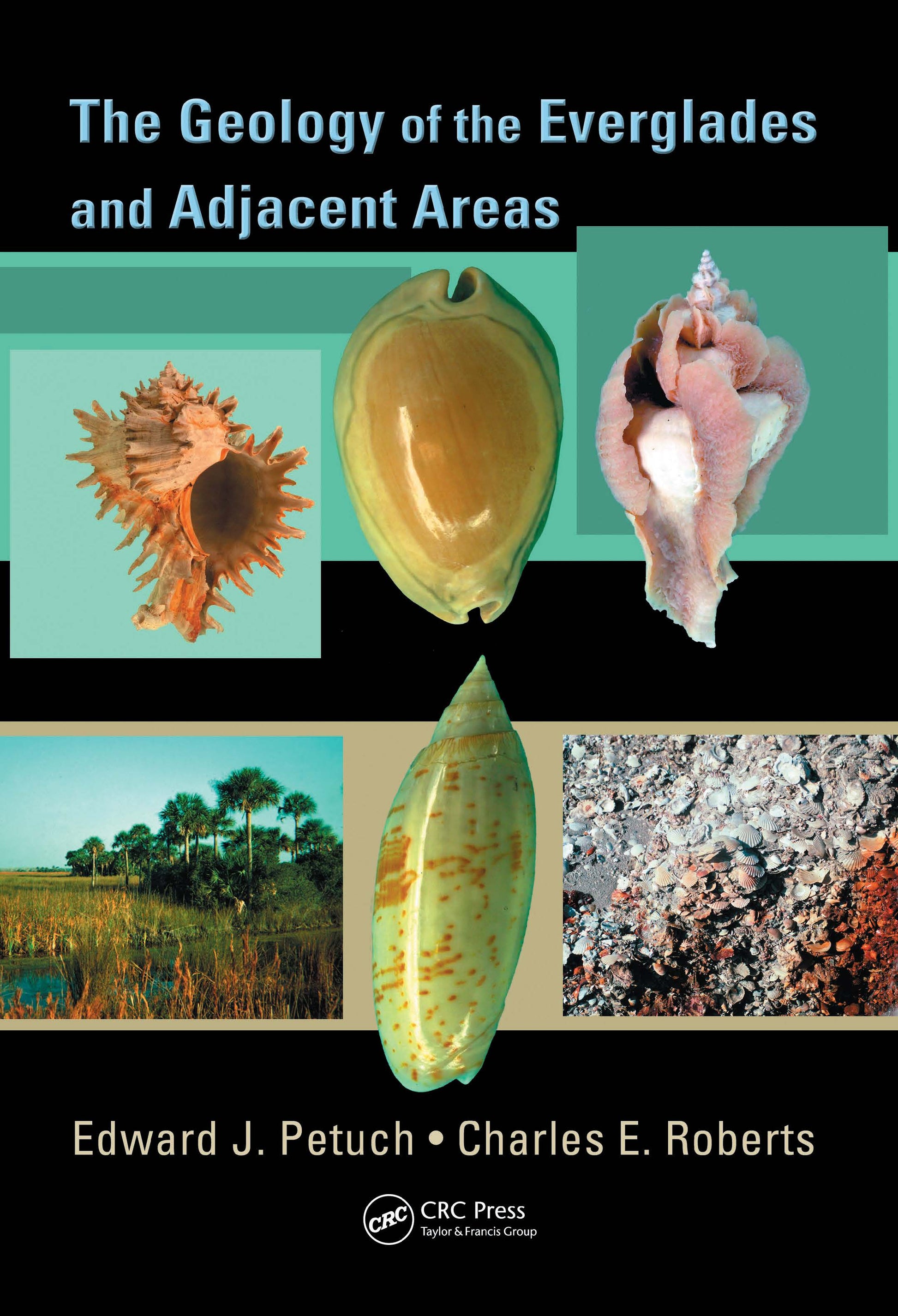 Geology of the Everglades and Adjacent Areas
