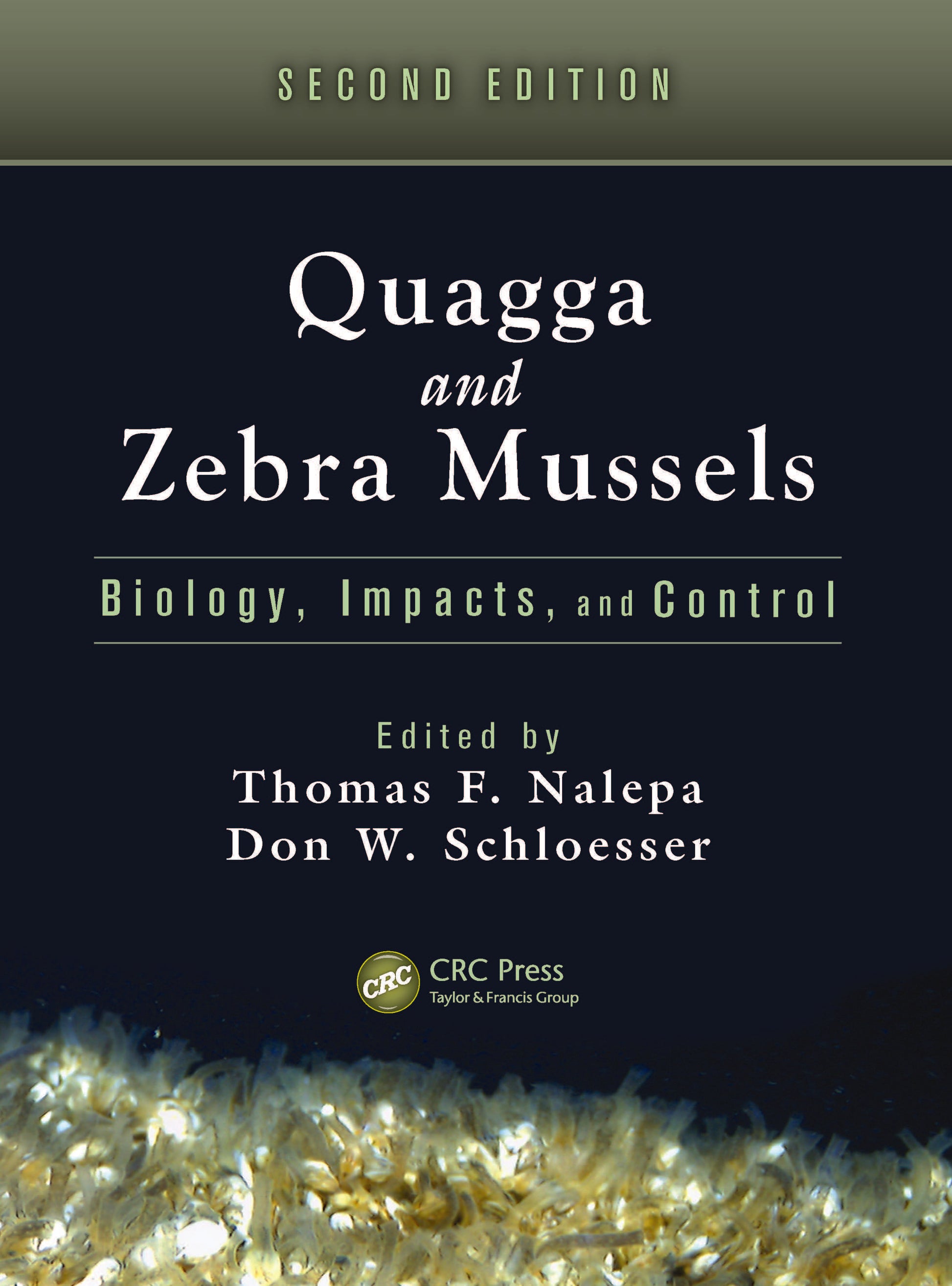 Quagga and Zebra Mussels