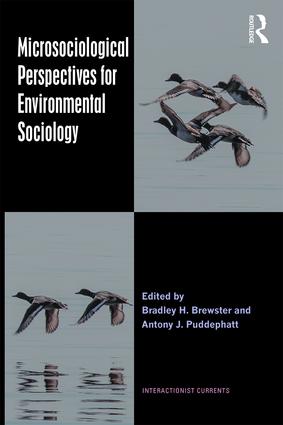 Microsociological Perspectives for Environmental Sociology