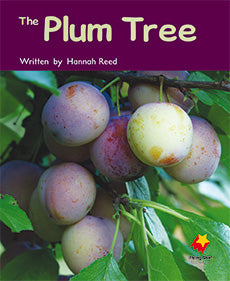 Plum Tree, The