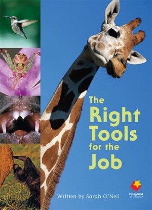 Right Tools for the Job, The