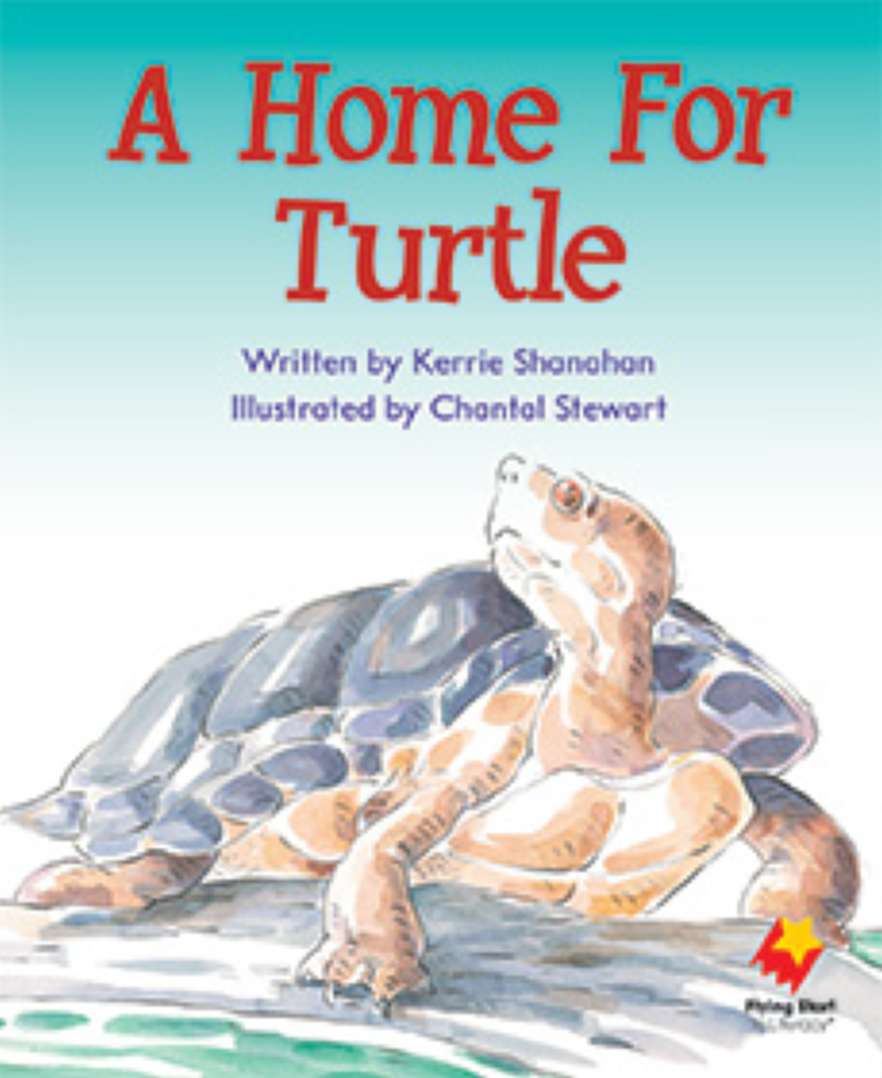 Home For Turtle, A