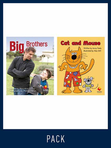 Flying Start Guided Reading Pack Level 3, Pack 5