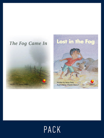 Flying Start Guided Reading Pack Level 4, Pack 4