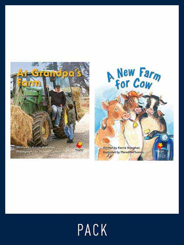 Flying Start Guided Reading Pack Level 4, Pack 5