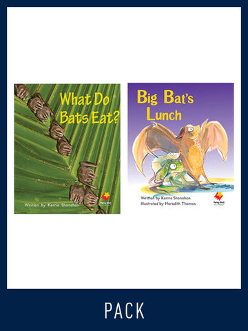 Flying Start Guided Reading Pack Level 5, Pack 2
