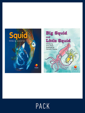 Flying Start Guided Reading Pack Level 7, Pack 4