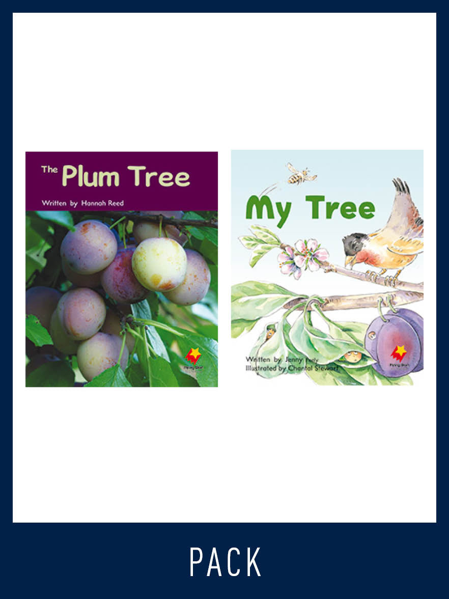 Flying Start Guided Reading Pack Level 7, Pack 5