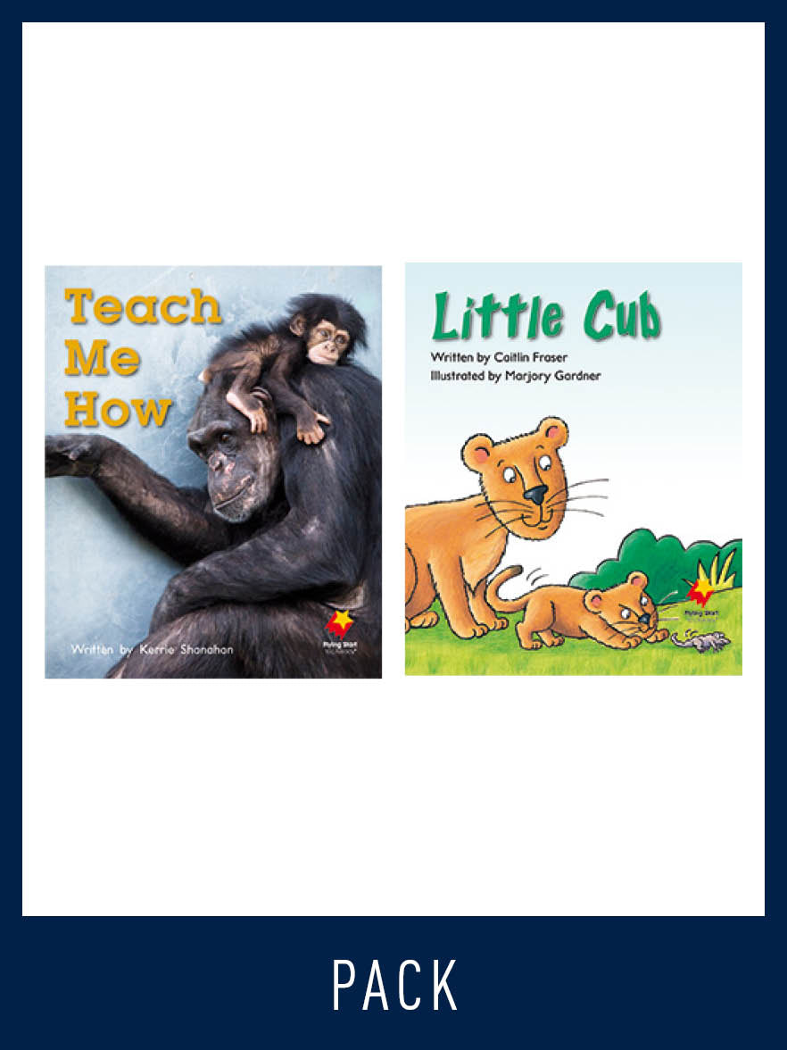 Flying Start Guided Reading Pack Level 9, Pack 4