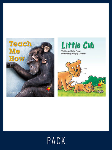 Flying Start Guided Reading Pack Level 9, Pack 4