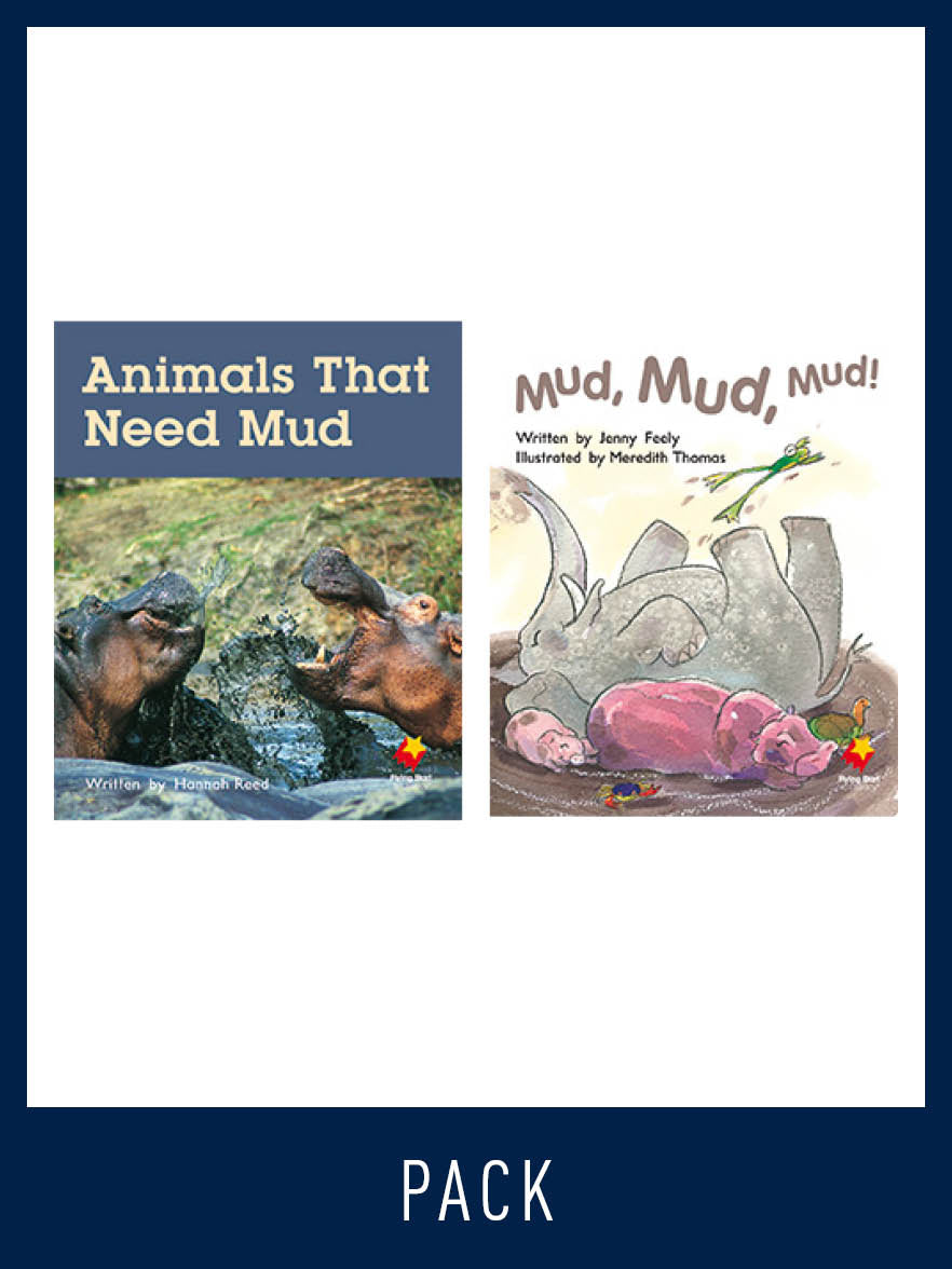 Flying Start Guided Reading Pack Level 10, Pack 3
