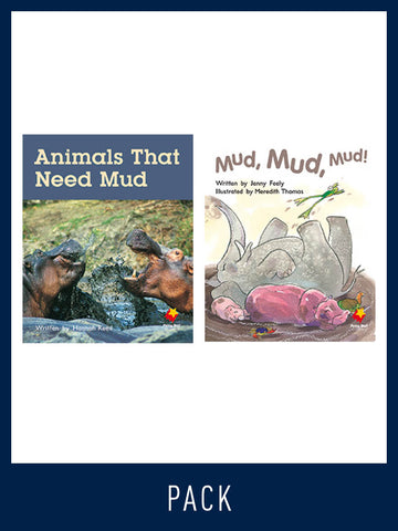 Flying Start Guided Reading Pack Level 10, Pack 3
