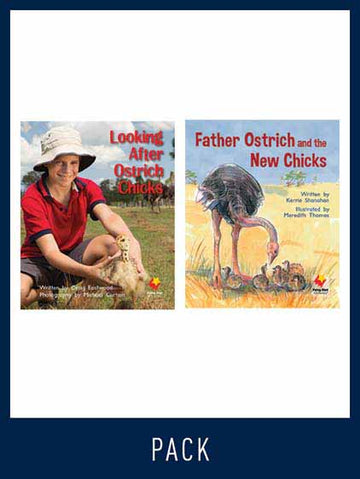 Flying Start Guided Reading Pack Level 10, Pack 1