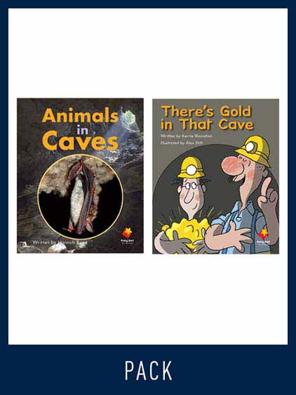 Flying Start Guided Reading Pack Level 13, Pack 4