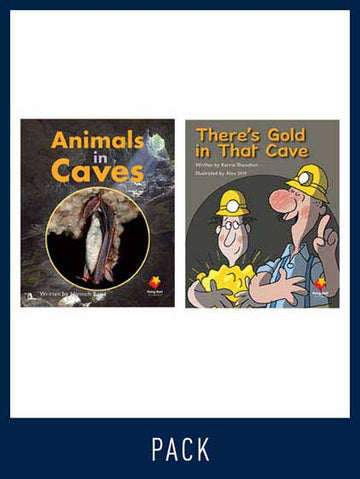 Flying Start Guided Reading Pack Level 13, Pack 4