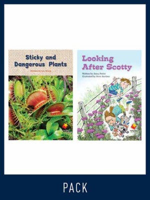 Flying Start Guided Reading Level 15, Pack 4