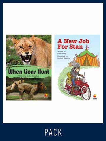 Flying Start Guided Reading Level 15, Pack 2