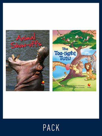 Flying Start Guided Reading Level 19, Pack 2