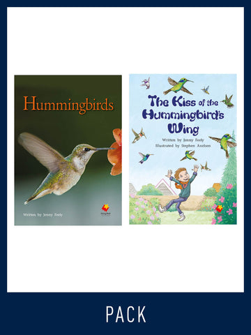 Flying Start Guided Reading Level 23, Pack 1