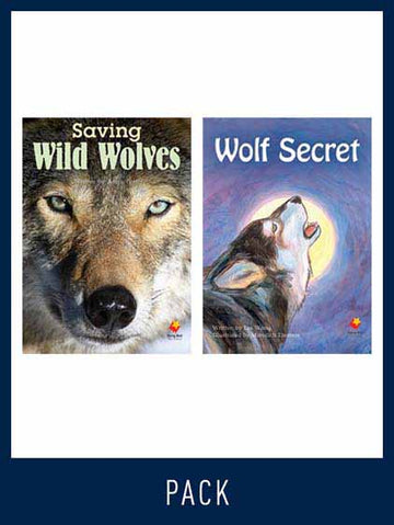 Flying Start Guided Reading Level 26, Pack 2