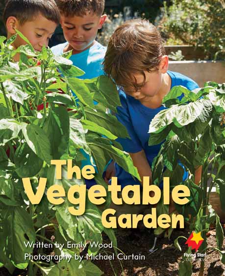 Vegetable Garden, The