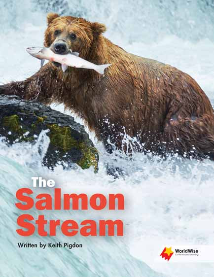 Salmon Stream, The