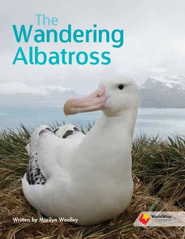 Wandering Albatross, The