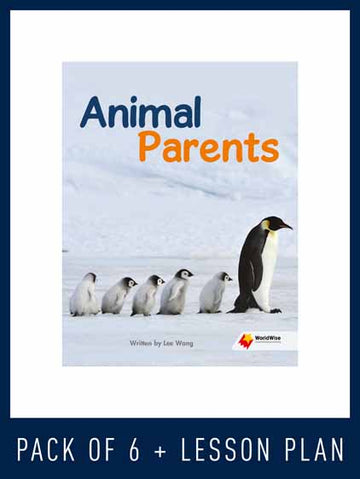 WorldWise Guided Reading Pack Level N, Pack 2