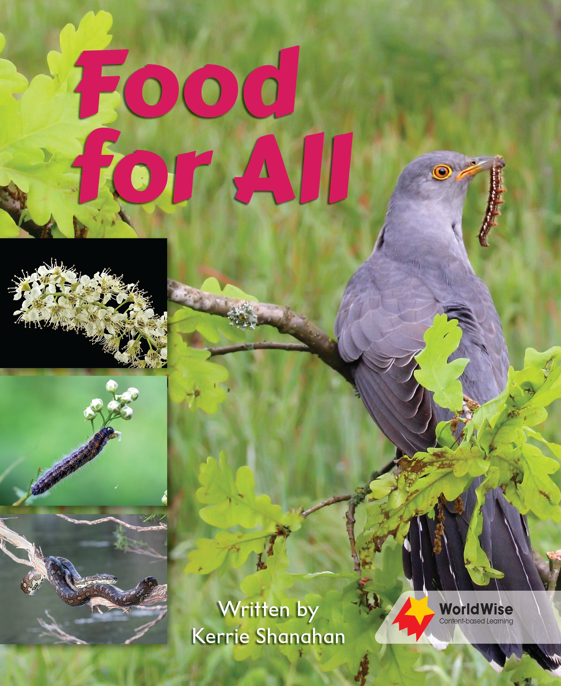 Food for All