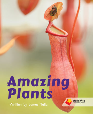 Amazing Plants
