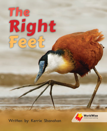 Right Feet, The