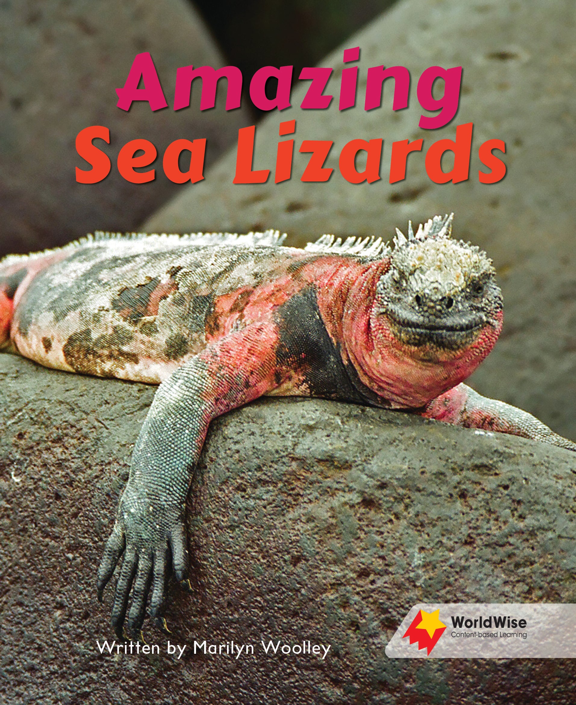 Amazing Sea Lizards
