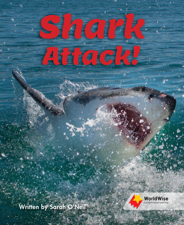 Shark Attack!