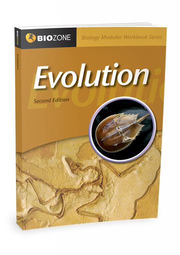Evolution Modular Workbook