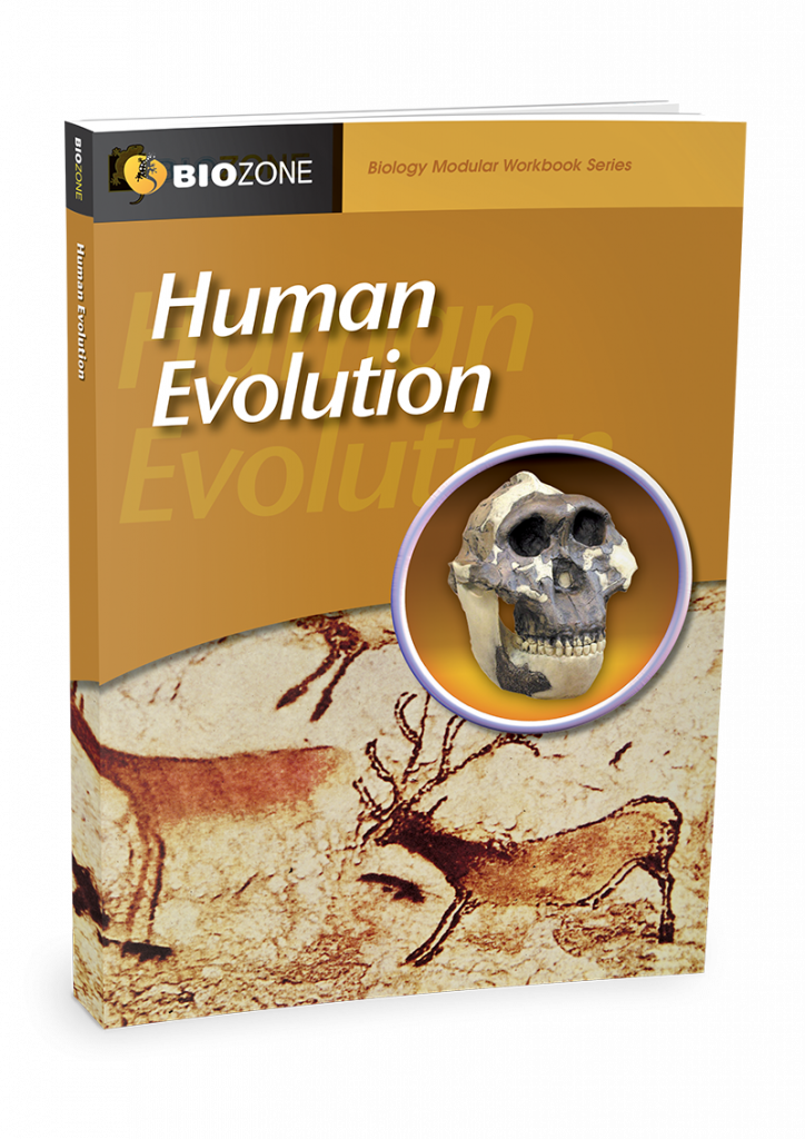 Human Evolution Modular Workbook