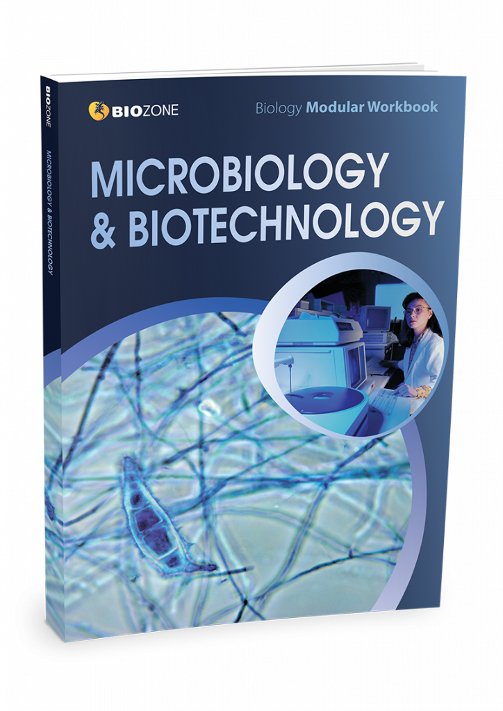 Microbiology and Biotechnology Modular Workbook