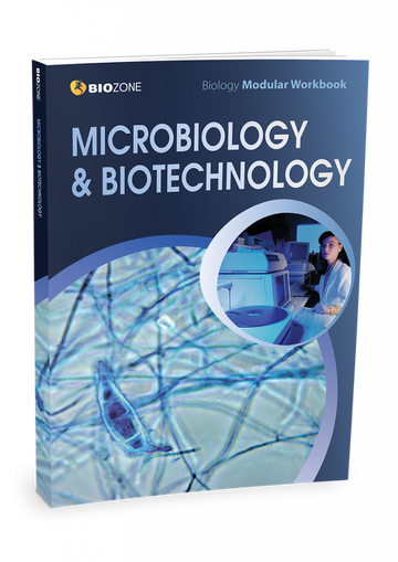 Microbiology and Biotechnology Modular Workbook