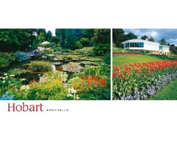 Steve Parish Panoramic: Hobart x 2 (Royal Botanical Gardens), TAS