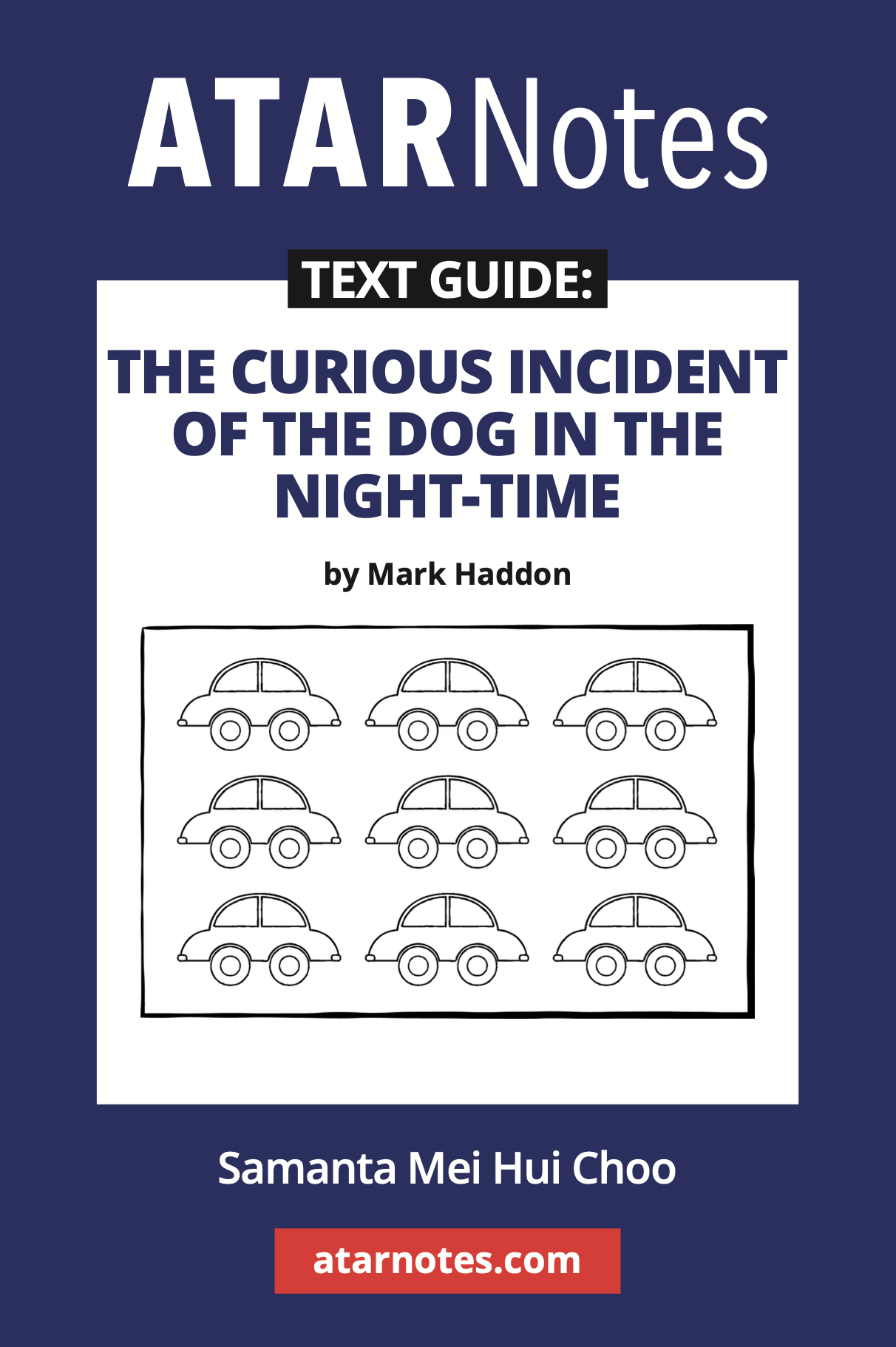 Text Guide: The Curious Incident of the Dog in the Night-time