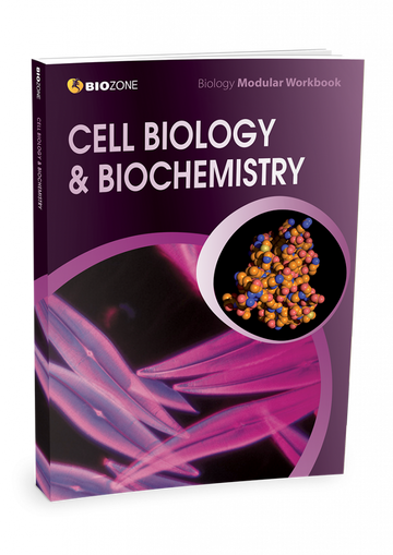 Cell Biology & Biochemistry Modular Workbook