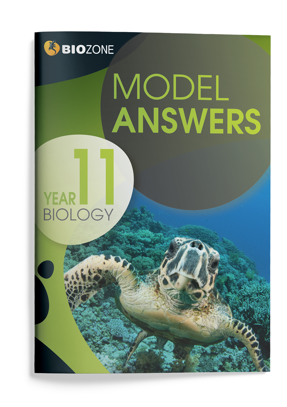 Year 11 Biology Model Answers
